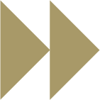 Double right arrow icon