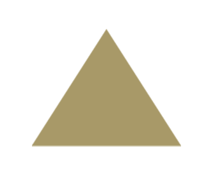 Triangle icon